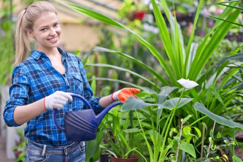 Tree surgeons in Leyton providing professional tree care