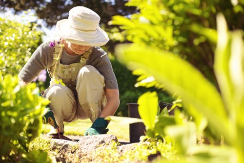 Local tree care and pruning service in Leyton neighborhood