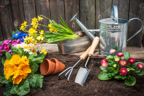 Preparing a stump grinding job near fencing and paving