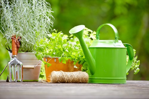 Professional Leyton tree care service supporting healthy trees