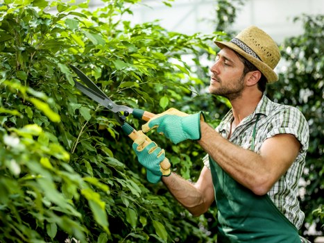 SSL encrypted Tree Surgeons Leyton payments area on a secure device