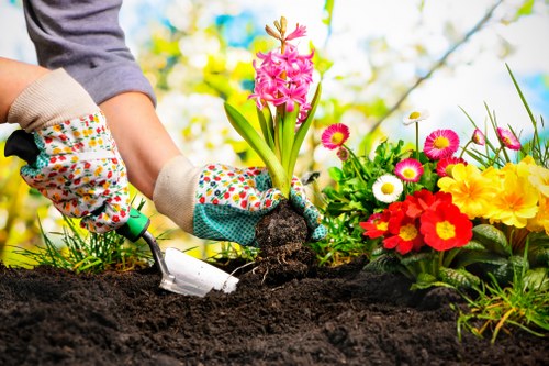 Secure Tree Surgeons Leyton payment options with trusted methods and encryption